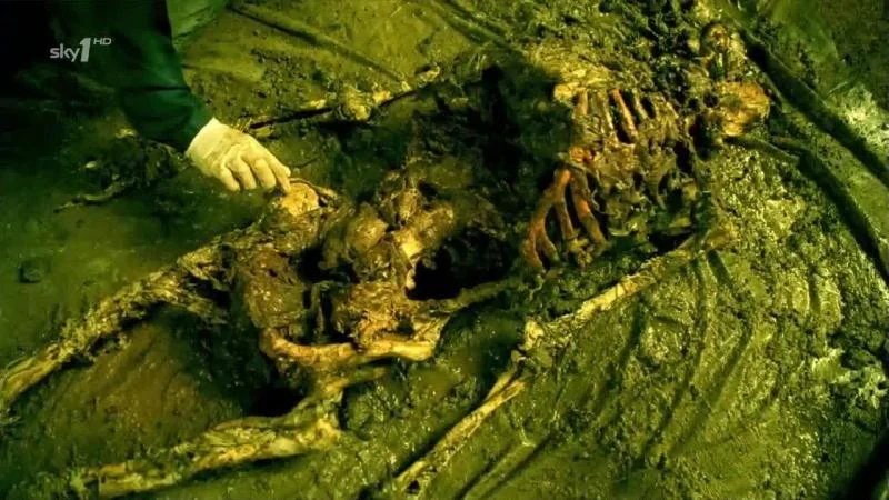 Кадры из сериала Кости (2005)